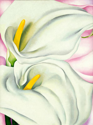 Georgia O'Keeffe - Two Calla Lilies on Pink, 1928