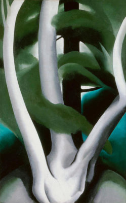 Georgia O'Keeffe - Birch and Pine Tree No. 1, 1925