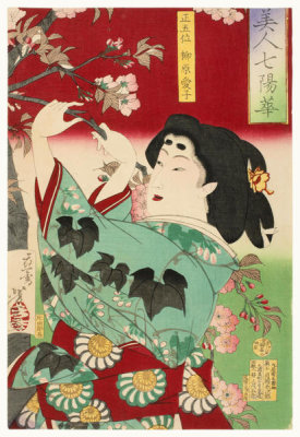 Tsukioka Yoshitoshi - Cherry, 1878